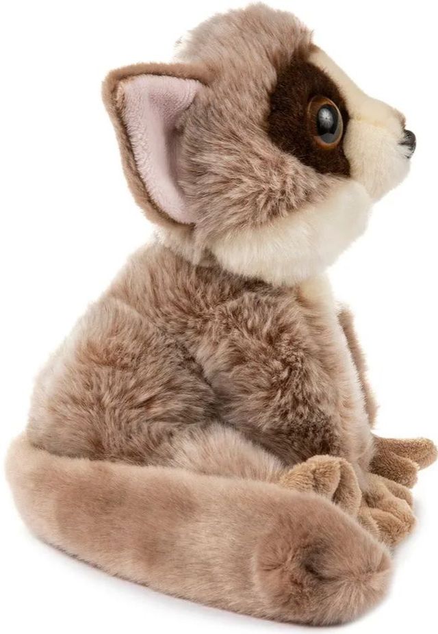 Bush baby